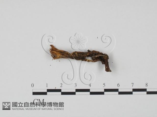 登錄號:F0022267藏品圖，第1張