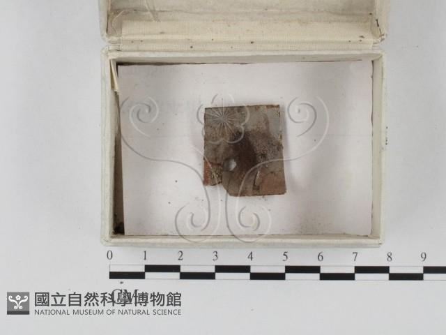 登錄號:F0023267藏品圖，第1張