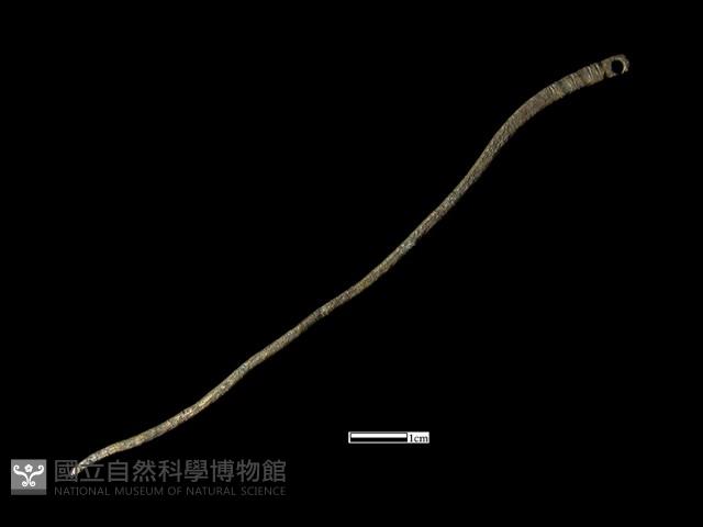 髮簪藏品圖，第1張