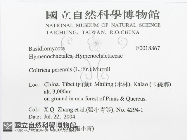 登錄號:F0018867藏品圖，第3張