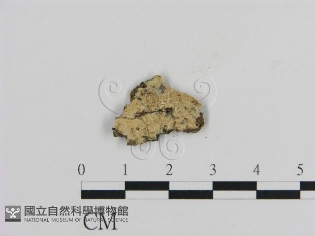 登錄號:F0007867藏品圖，第1張