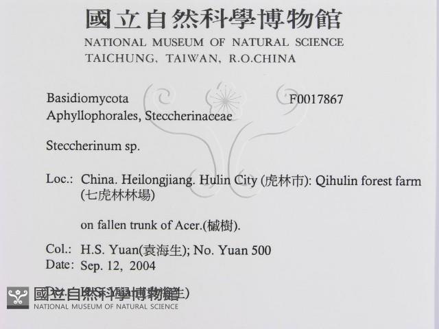 登錄號:F0017867藏品圖，第3張