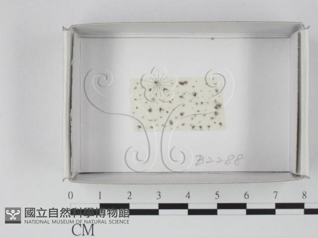 登錄號:F0019867藏品圖，第1張