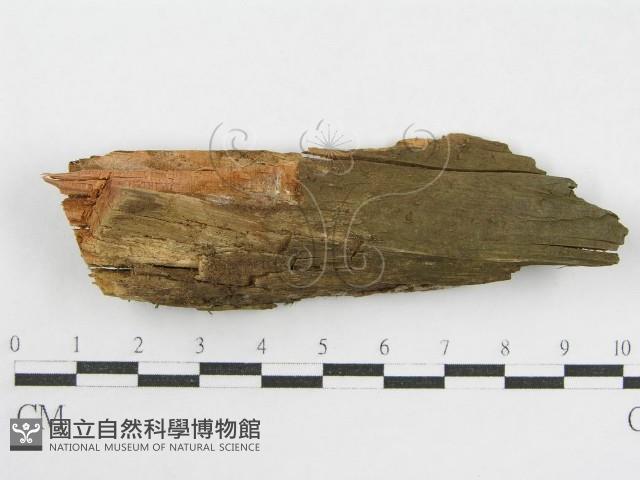 登錄號:F0003867藏品圖，第1張