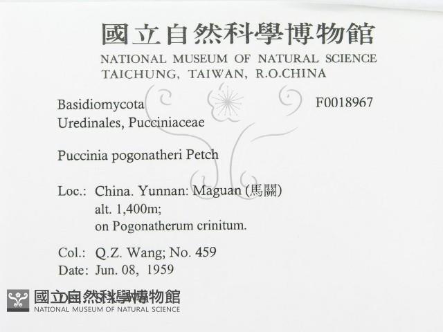登錄號:F0018967藏品圖，第3張