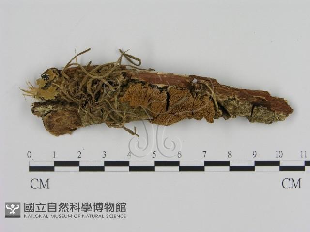 登錄號:F0000967藏品圖，第1張