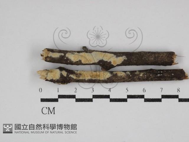 登錄號:F0030967藏品圖，第1張