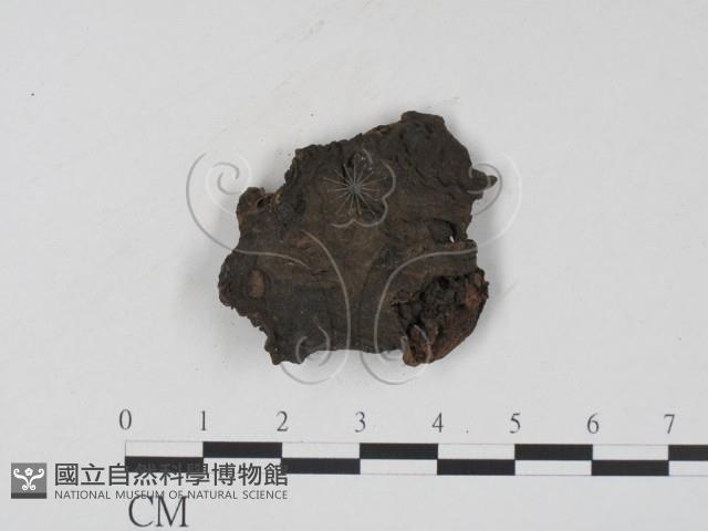 登錄號:F0011967藏品圖，第1張