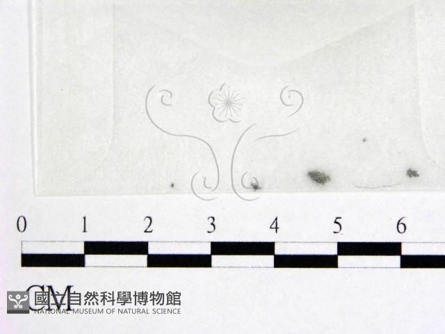 登錄號:F0007967藏品圖，第1張