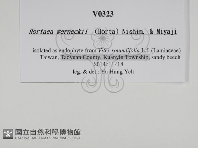 登錄號:F0029967藏品圖，第3張