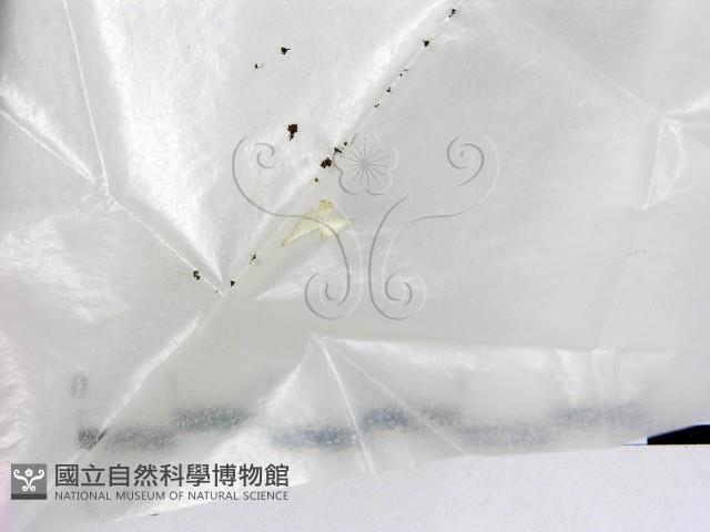 登錄號:F0009967藏品圖，第1張