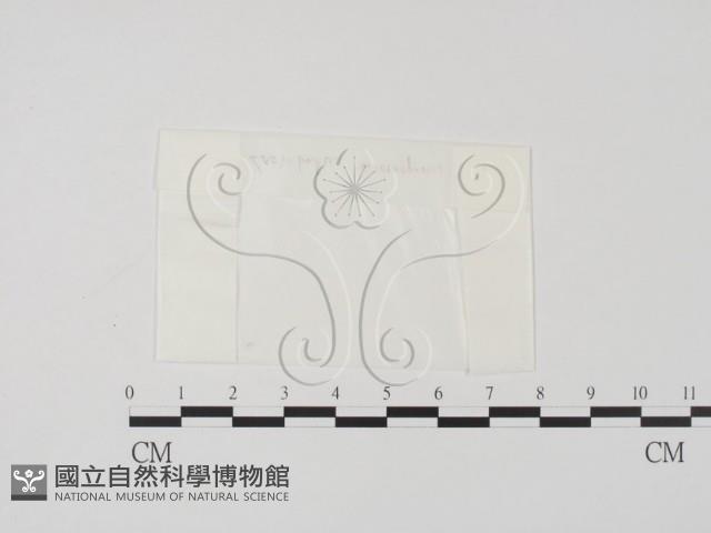 登錄號:F0000667藏品圖，第1張
