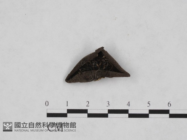 登錄號:F0003667藏品圖，第1張