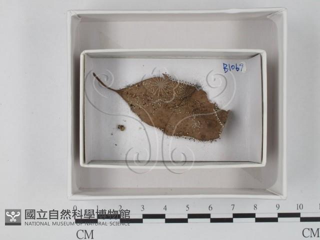 館號:F0018467藏品圖，第1張
