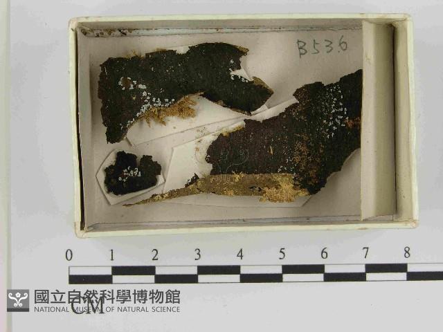 登錄號:F0021467藏品圖，第1張