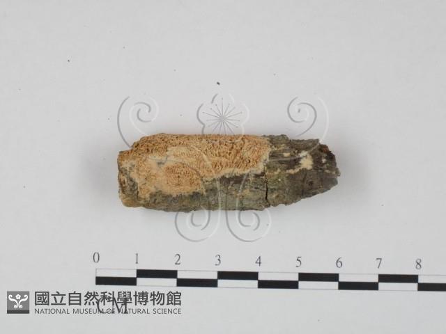 登錄號:F0002467藏品圖，第1張