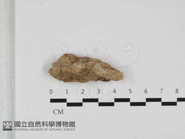 登錄號:F0032467藏品圖，第1張