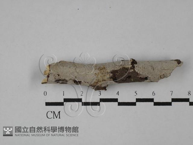 登錄號:F0029467藏品圖，第1張