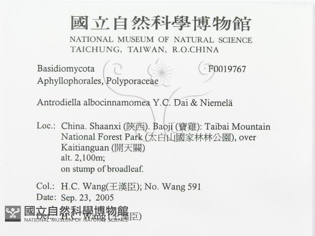 登錄號:F0019767藏品圖，第3張