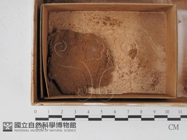 登錄號:F0018567藏品圖，第1張