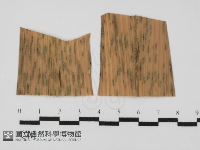 登錄號:F0016567藏品圖，第1張