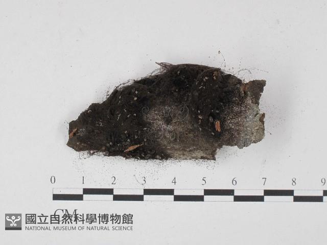 登錄號:F0004567藏品圖，第1張