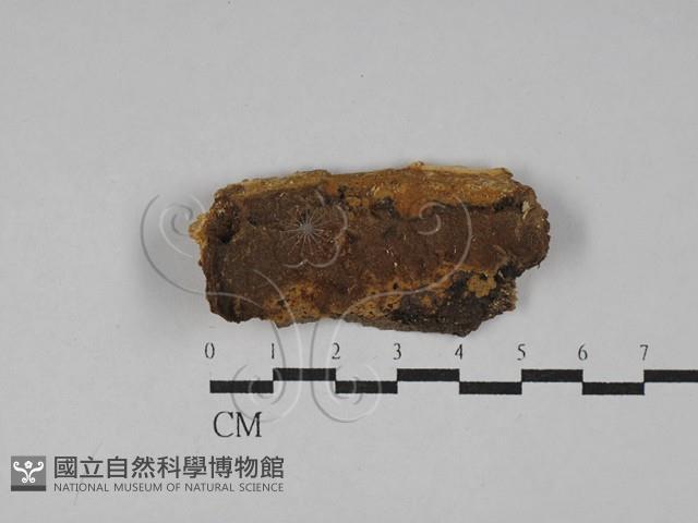 登錄號:F0029567藏品圖，第1張