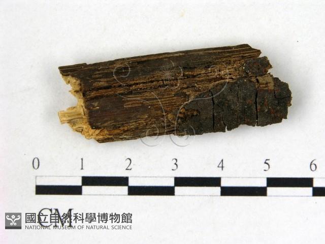 登錄號:F0019567藏品圖，第1張