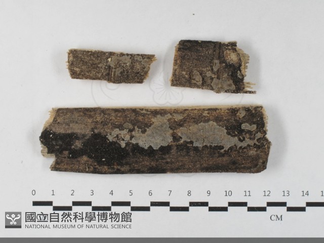 登錄號:F0033567藏品圖，第1張