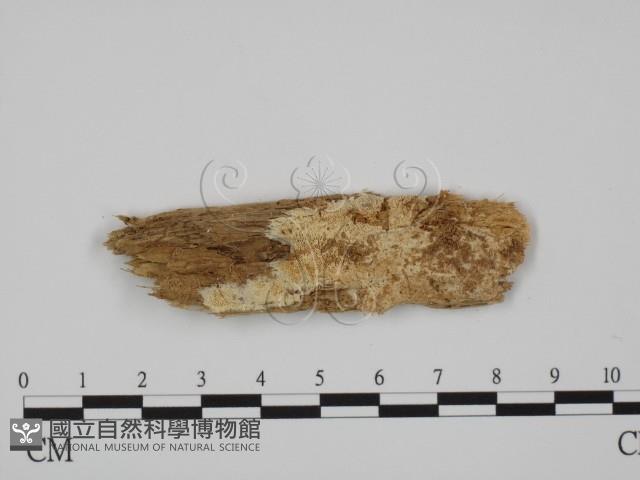 登錄號:F0008167藏品圖，第1張