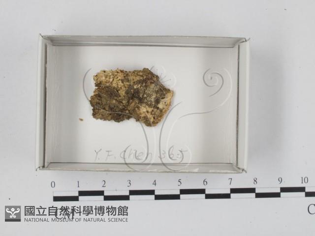登錄號:F0018167藏品圖，第1張