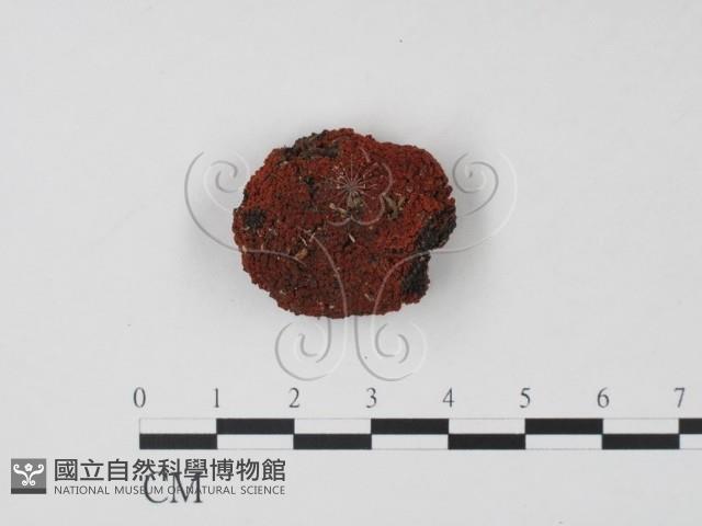 登錄號:F0010167藏品圖，第1張