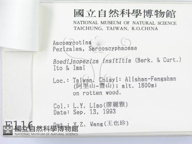 登錄號:F0001167藏品圖，第3張