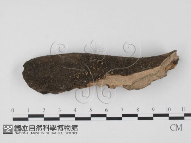 登錄號:F0004067藏品圖，第1張