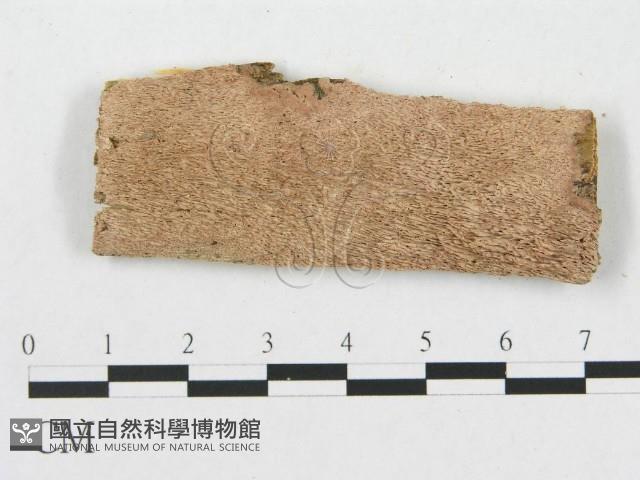 登錄號:F0007067藏品圖，第1張