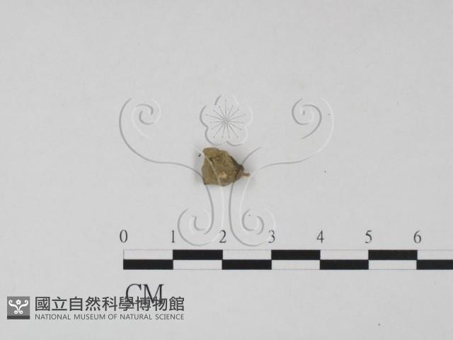 登錄號:F0019067藏品圖，第1張