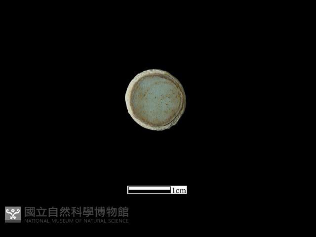 圍棋子藏品圖，第2張