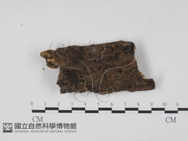 登錄號:F0020367藏品圖，第1張