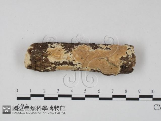 登錄號:F0022367藏品圖，第1張