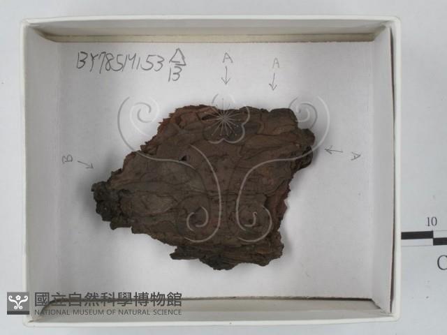 登錄號:F0018227藏品圖，第1張
