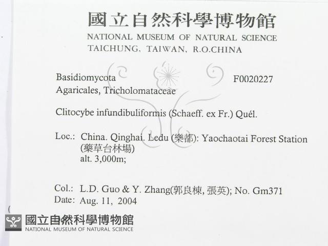 登錄號:F0020227藏品圖，第3張