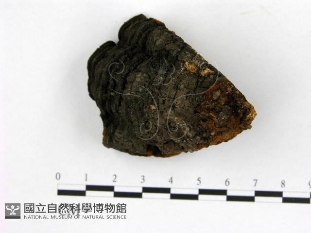 登錄號:F0006227藏品圖，第1張