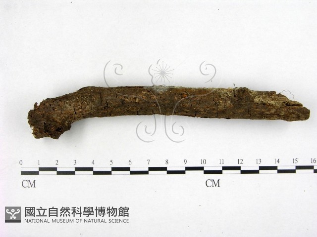 登錄號:F0002227藏品圖，第1張