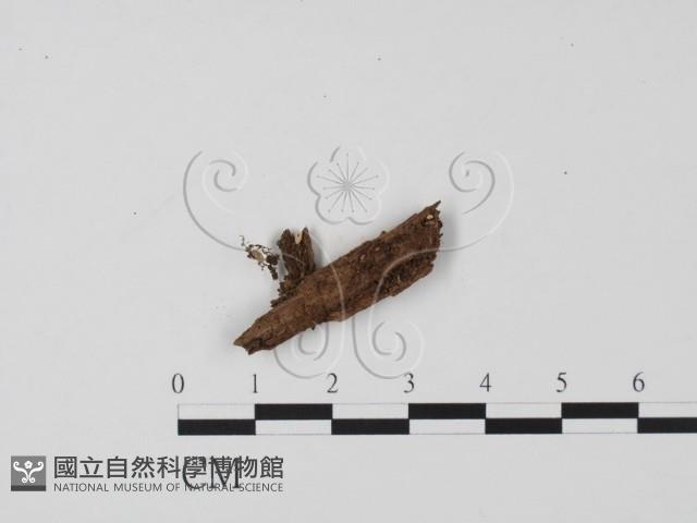 登錄號:F0023227藏品圖，第1張