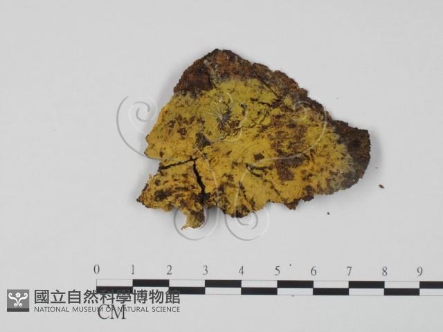 登錄號:F0003227藏品圖，第1張