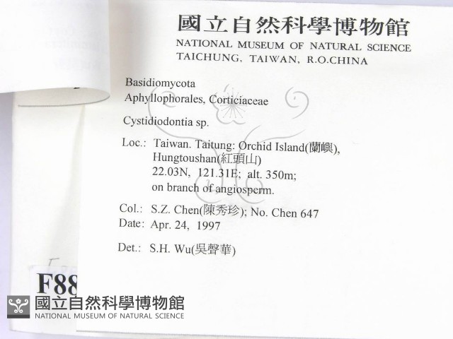 登錄號:F0008827藏品圖，第3張