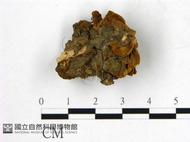 登錄號:F0018827藏品圖，第1張