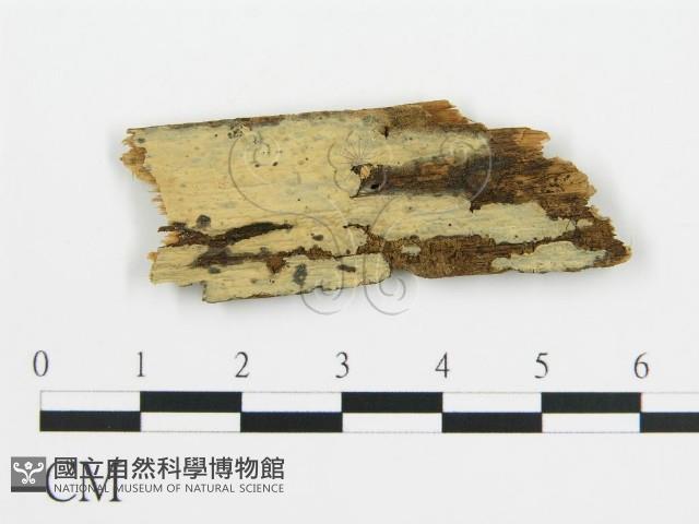 登錄號:F0016827藏品圖，第1張