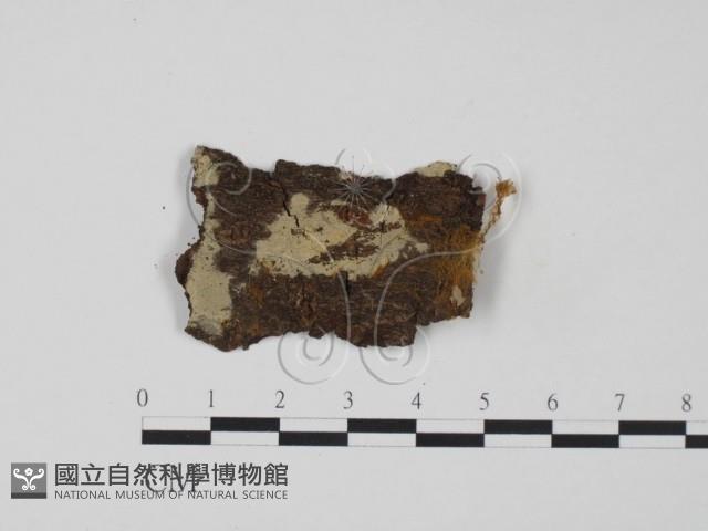 登錄號:F0021827藏品圖，第1張