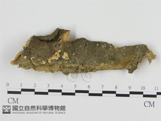 登錄號:F0001827藏品圖，第1張